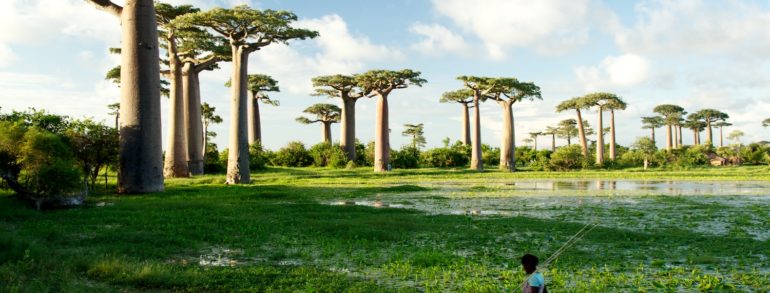 photo paysage madagascar