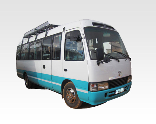 bus translafatra