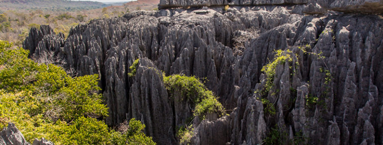 Voyage photo à Madagascar, partez à la découverte d’un paysage unique au monde !