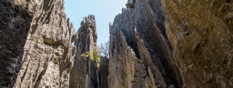 Découvrez les magnifiques paysages de Madagascar