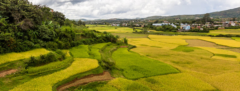 Les meilleures choses à faire à Antsirabe, Madagascar