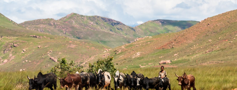 Conseils essentiels pour votre premier voyage à Madagascar